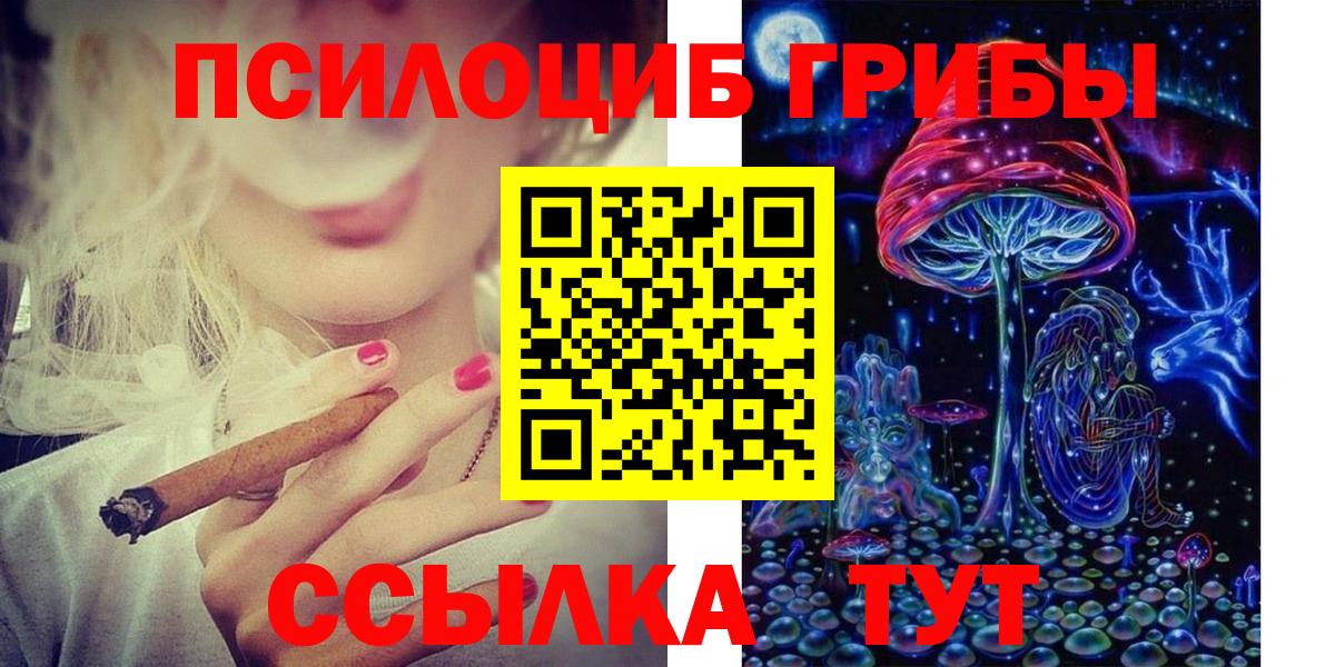 Псилоцибиновые грибы Psilocybe  Вход с VPN  Орехово-Зуево  Галлюциногенные грибы мицелий 