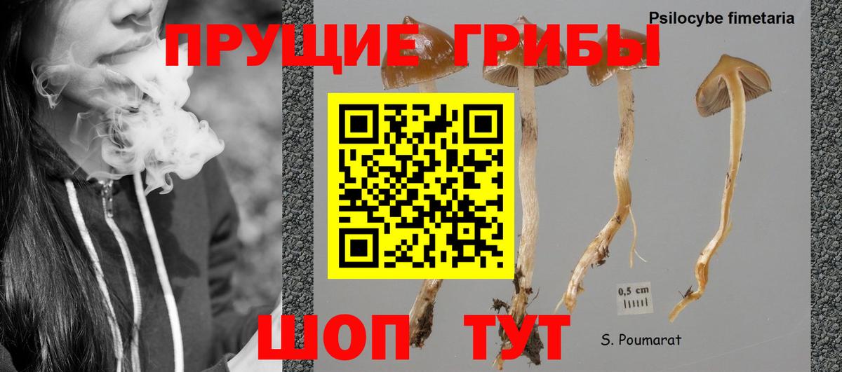 Галлюциногенные грибы Cubensis Орехово-Зуево